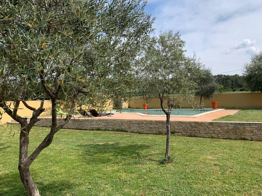 Loue Studio Dans Une Villa Avec Piscine Terrasse Saint-Theodorit Extérieur photo